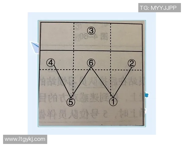 广州排球队配合细节解析与战术对比全面分析