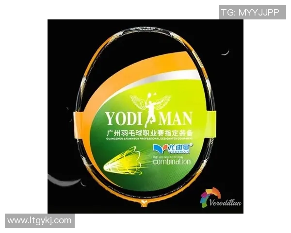 广州羽毛球队个人能力深度解析与发展探讨