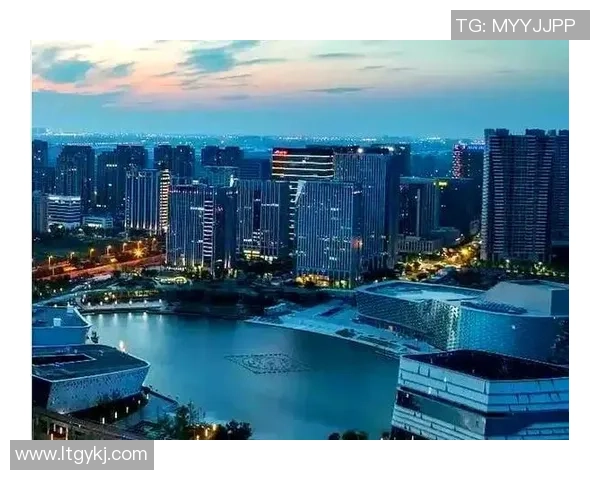 武汉篮球队反击之路：从困境到崛起的全景解析与展望