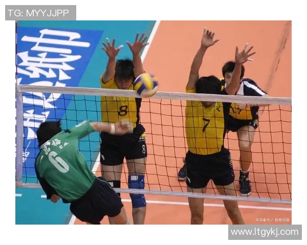 上海排球队力压群雄创排球力量新高引发热议