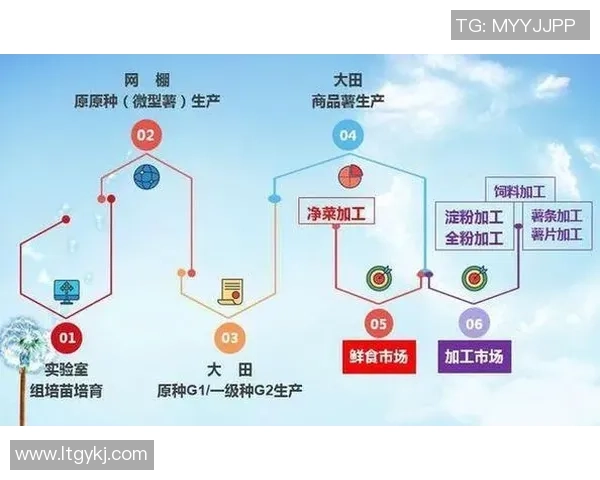 重庆足球队防守革新之路探索与实践的深度剖析与展望
